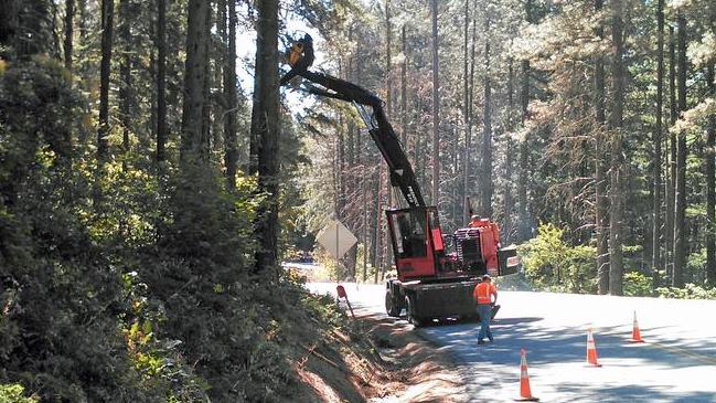 Hazardous trees to come down on Chumstick Highway